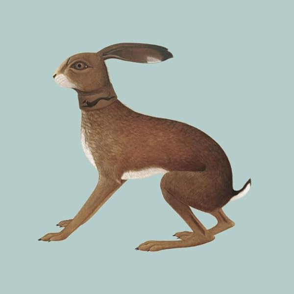 Vashti Bunyan - Heartleap - Amazon.com Music